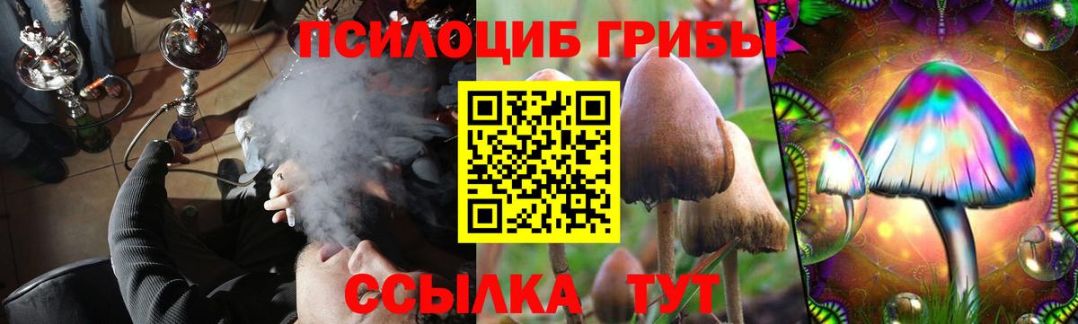 Галлюциногенные грибы GOLDEN TEACHER Кингисепп